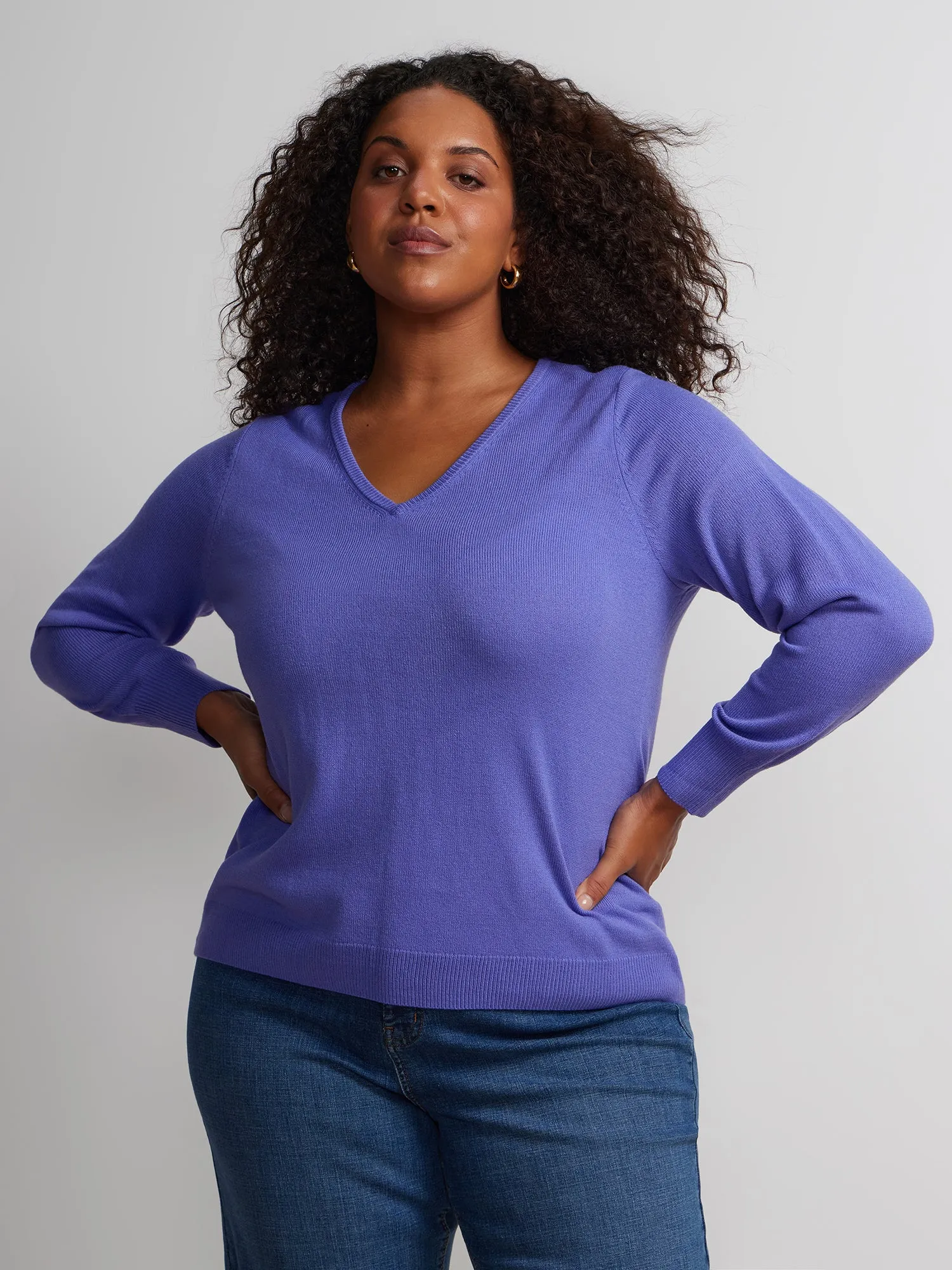 Plus Long Sleeve V-Neck Pullover